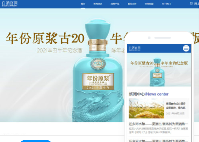 安陽網(wǎng)站建設(shè)推廣公司